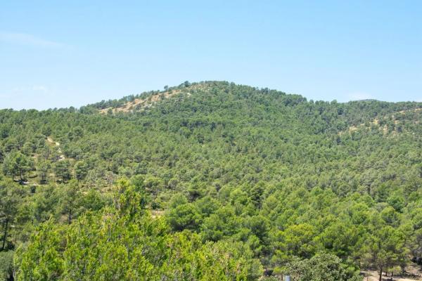 Masía en Casa de la Capona, 03430 Onil, Alicante s/n