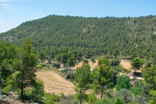 Masía en Casa de la Capona, 03430 Onil, Alicante s/n