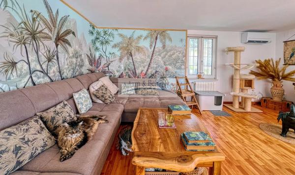 Casa independiente en Cv-729