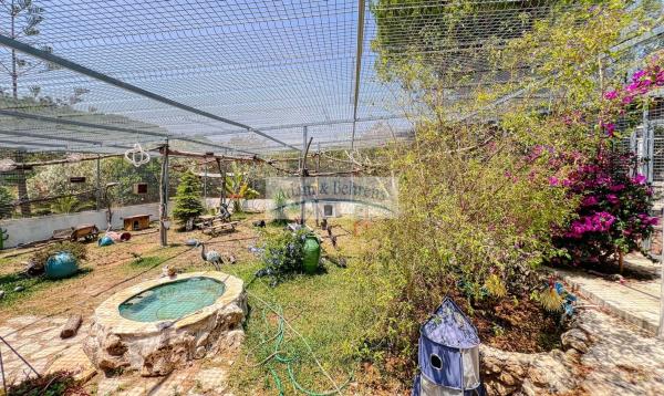 Casa independiente en Cv-729