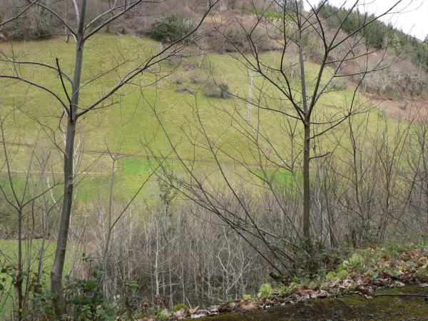 Finca rústica en Fresnedo, 1
