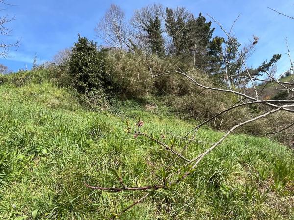 Casa independiente en Caserio Cimadevilla, 25 a