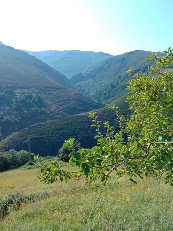 Casa de pueblo en Tremado s/n Tremado