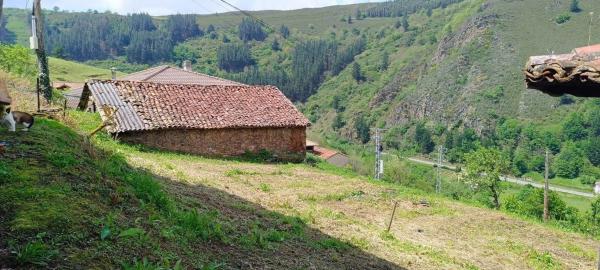 Casa de pueblo en Tebongo, 45