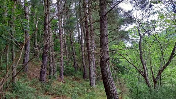 Casa de pueblo en Vía