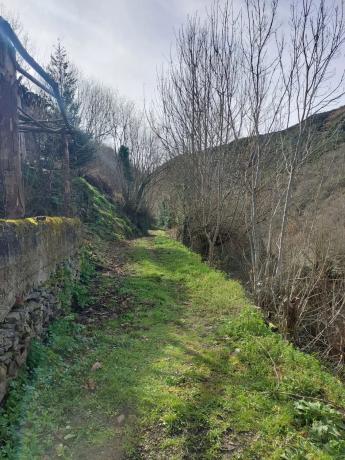 Casa independiente en calle Uría