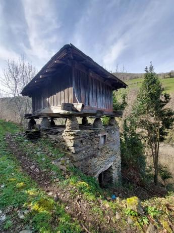 Casa independiente en calle Uría