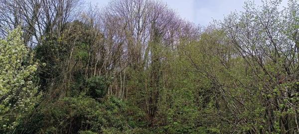 Casa independiente en Moal, 27