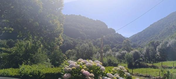 Casa de pueblo en Vía, 20