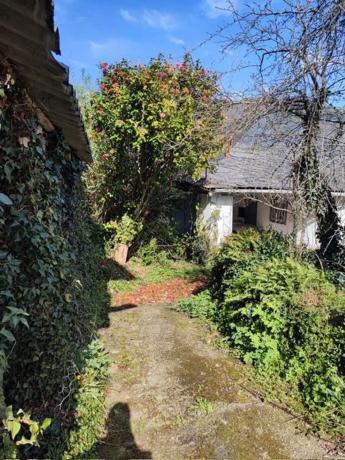 Casa de pueblo en Cruces, 3