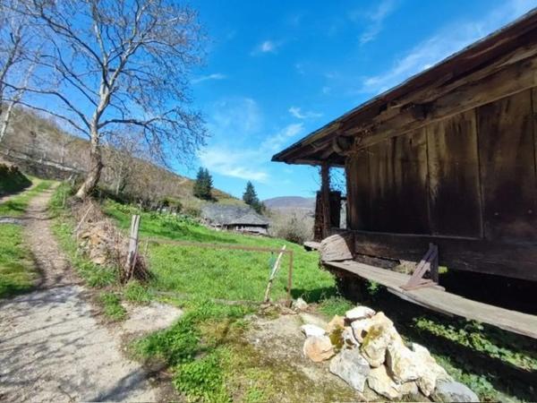 Casa de pueblo en Cruces, 3