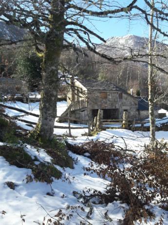 Finca rústica en As-348 s/n