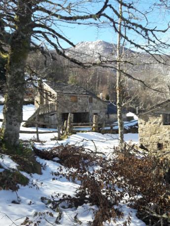 Finca rústica en As-348 s/n