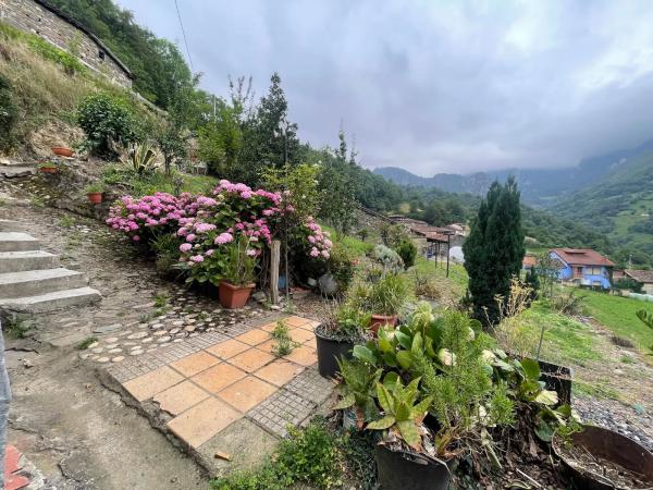 Casa de pueblo en La cortina s/n sn