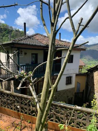 Casa de pueblo en Caserio Pinedo, 11