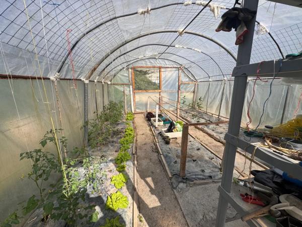 Casa independiente en calle Molino de la Sala, 9