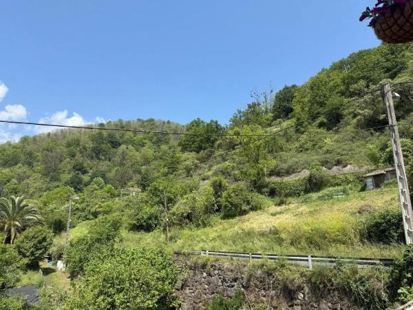 Casa independiente en Oviedo - Campomanes