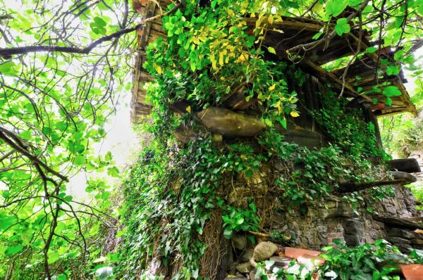 Finca rústica en Polígono 18, 29692