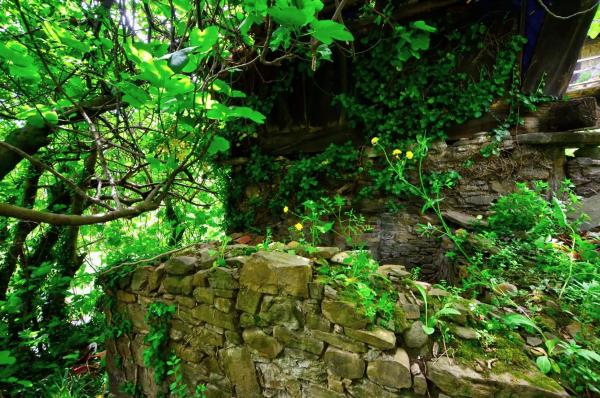 Finca rústica en Polígono 18, 29692