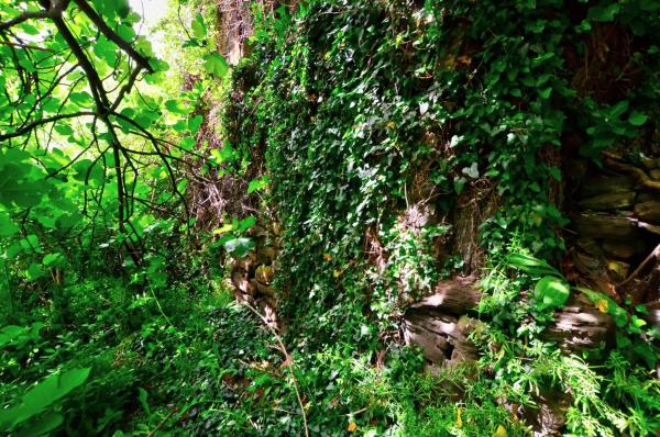 Finca rústica en Polígono 18, 29692