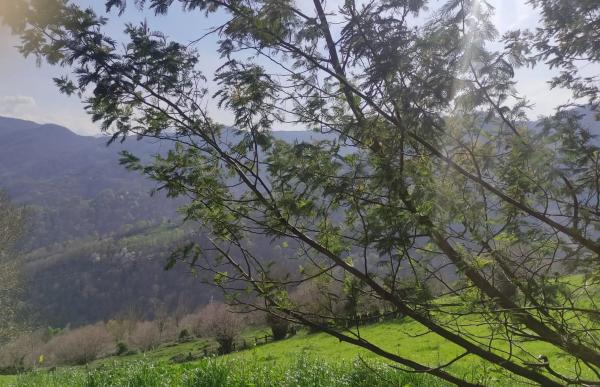 Casa independiente en La Armada s/n