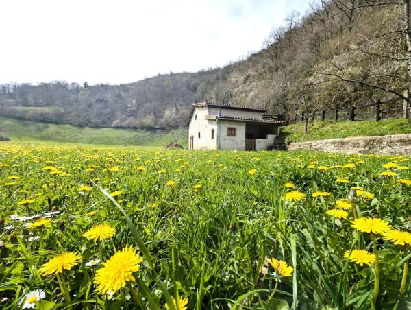 Casa independiente en carretera la Casomera