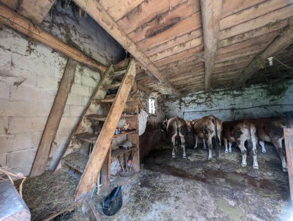 Casa independiente en carretera la Casomera