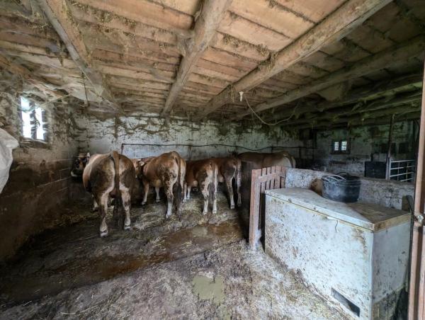 Casa independiente en carretera la Casomera