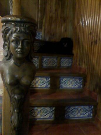 Casa independiente en Valle Cuna-Cenera s/n