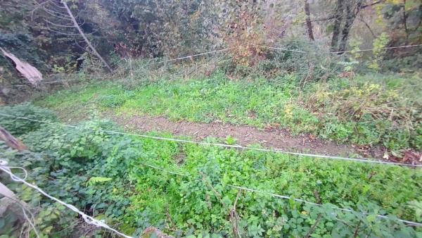 Casa independiente en calle Fios del Pueblu