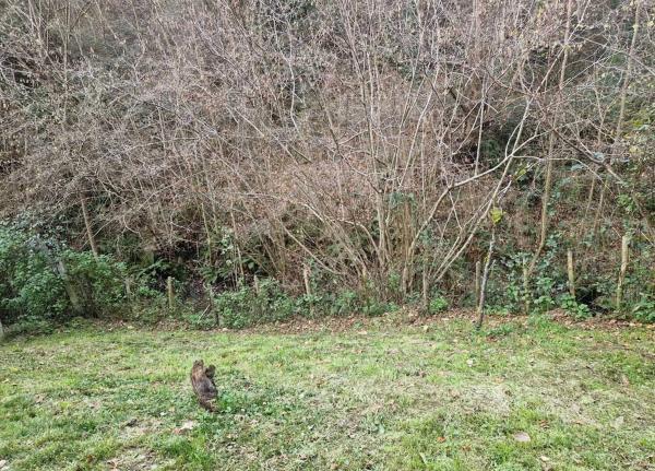 Casa de pueblo en Mi-2, 36