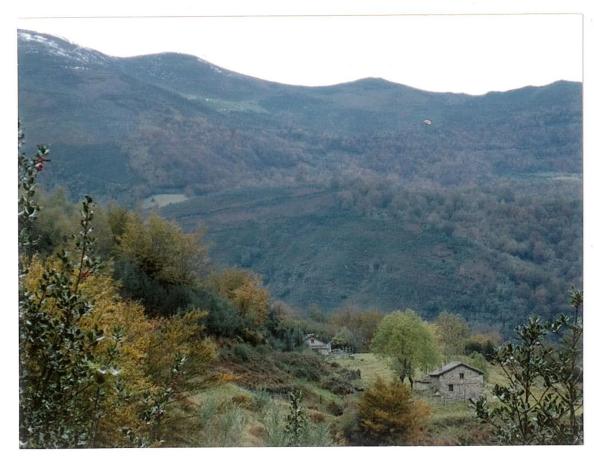 Finca rústica en La Fresnosa s/n
