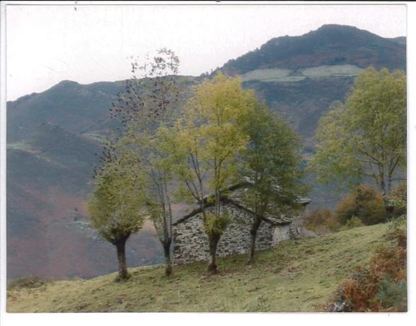 Finca rústica en La Fresnosa s/n