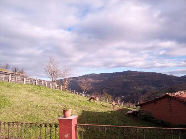 Finca rústica en Paxio, 10