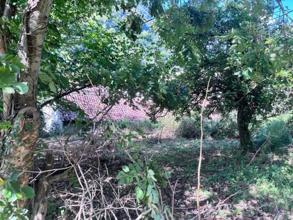 Finca rústica en Lena, 1