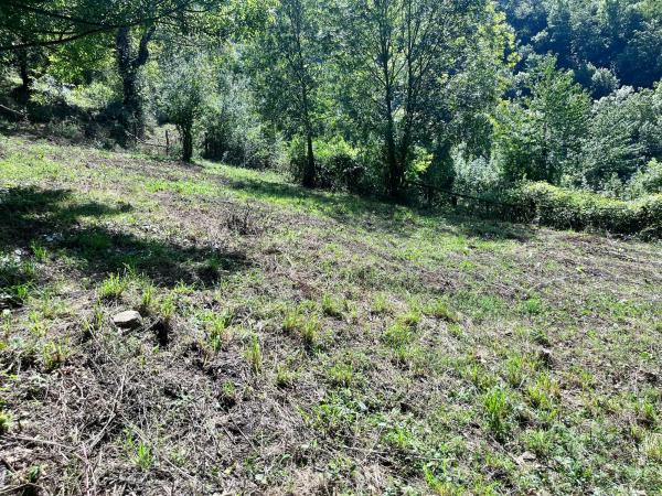 Finca rústica en Lena, 1