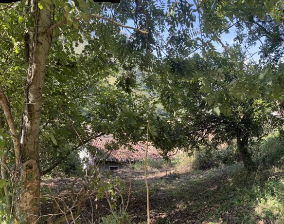 Finca rústica en Lena, 1