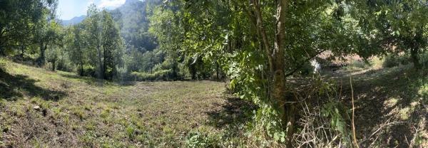 Finca rústica en Lena, 1