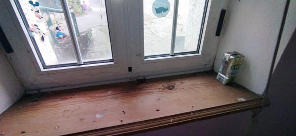 Casa de pueblo en llanos, 36