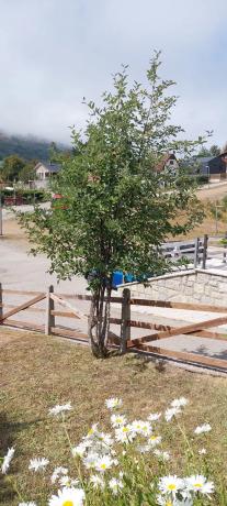 Casa de pueblo en Puerto San Isidro, 5