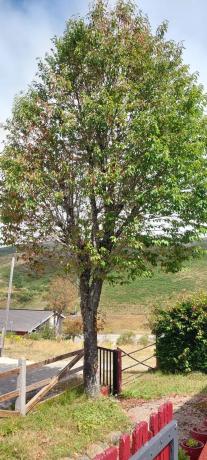 Casa de pueblo en Puerto San Isidro, 5