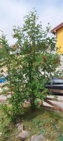 Casa de pueblo en Puerto San Isidro, 5