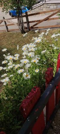 Casa de pueblo en Puerto San Isidro, 5