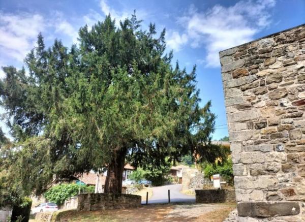 Casa independiente en Santibañez de la Fuente, 29