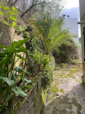 Casa independiente en Barrio Bazuelo, 21