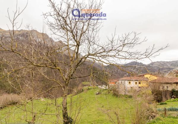 Casa de pueblo en La Cruz s/n