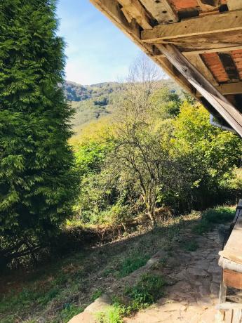 Casa rural en Brañalamosa, 5