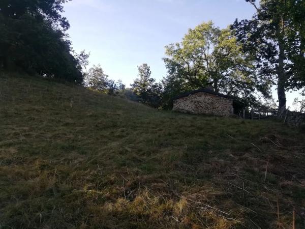 Finca rústica en Felguera (El Rasón) s/n RoNegrosn