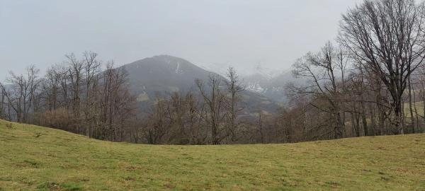 Finca rústica en Felguera (El Rasón) s/n RoNegrosn