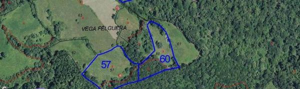 Finca rústica en Felguera (El Rasón) s/n RoNegrosn